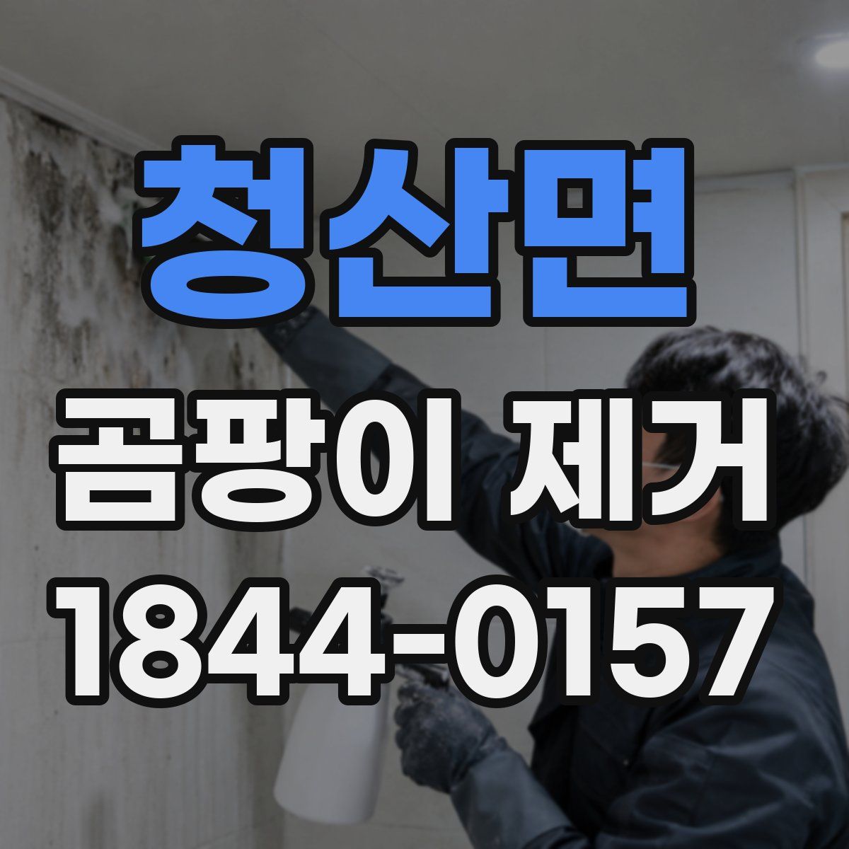 청산면 곰팡이 제거