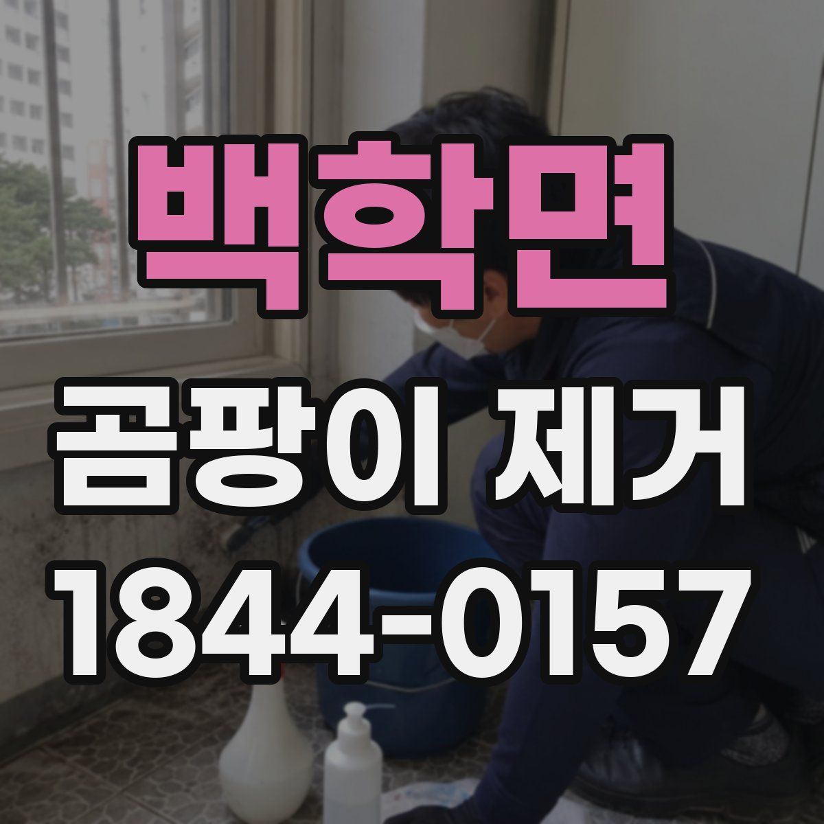 백학면 곰팡이 제거