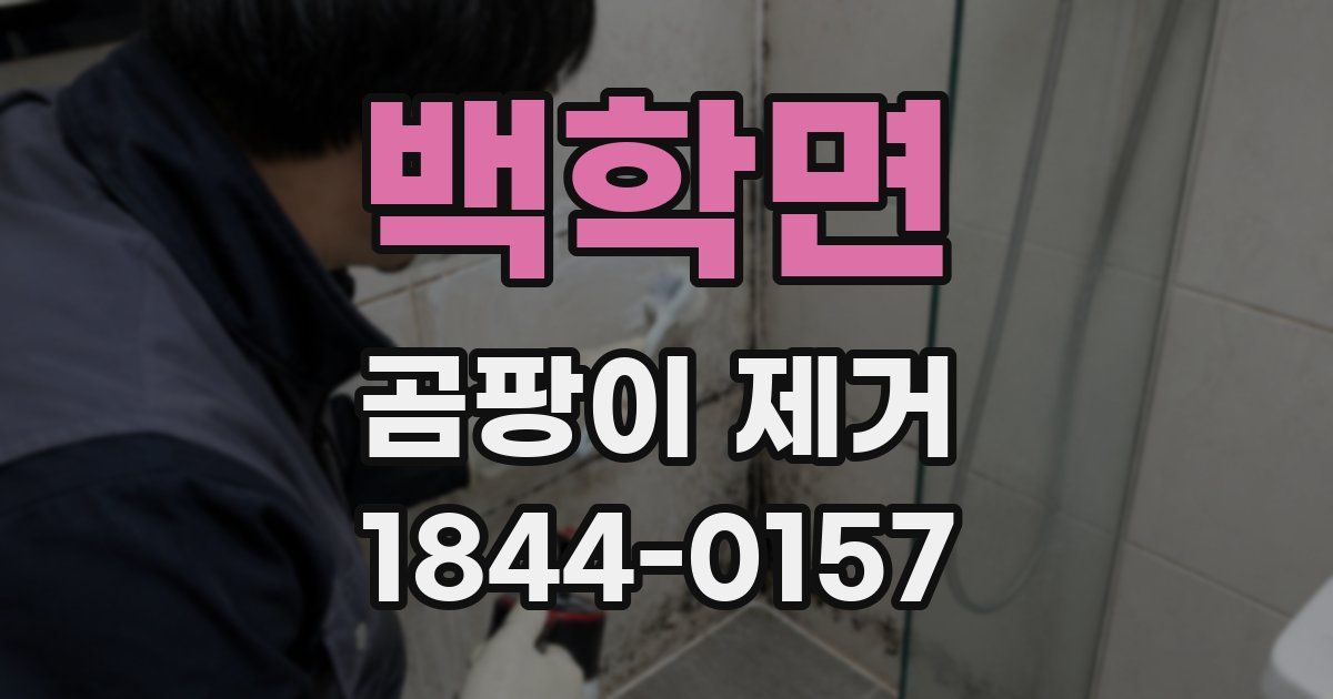 백학면 곰팡이 제거