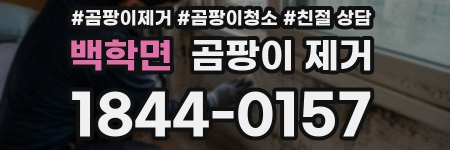 백학면 곰팡이 제거
