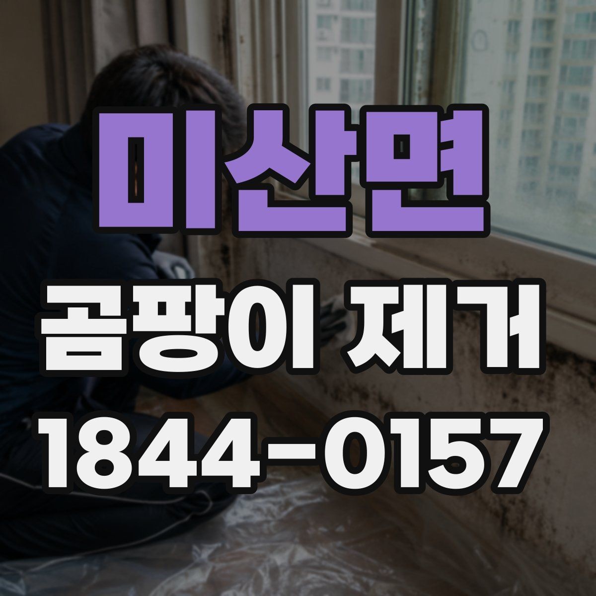 미산면 곰팡이 제거 오래된 곰팡이와 새 오염 구분