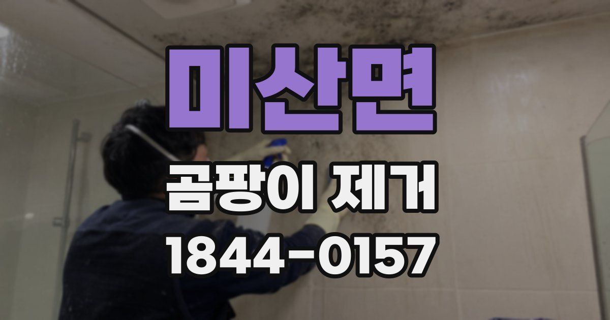 미산면 곰팡이 제거
