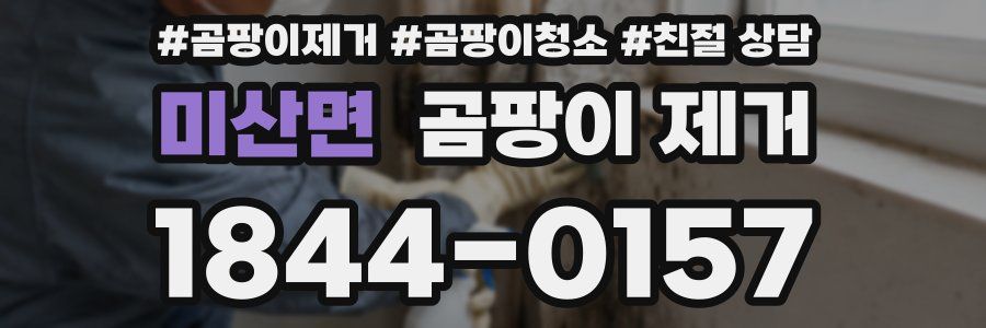 미산면 곰팡이 제거