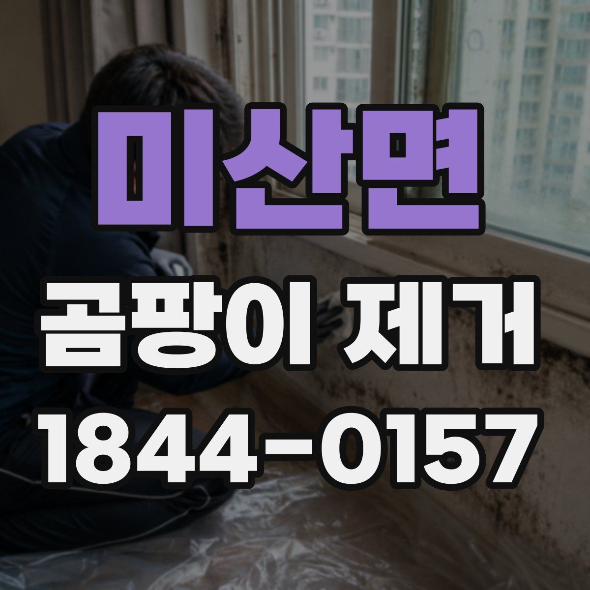 미산면 곰팡이 제거