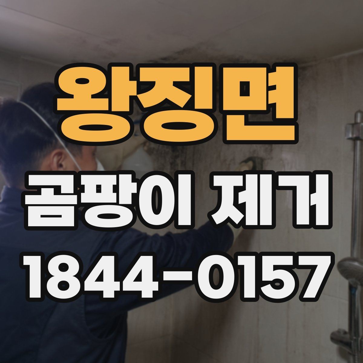 왕징면 곰팡이 제거 전 점검해야 할 누수 가능성