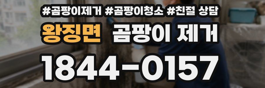 왕징면 곰팡이 제거