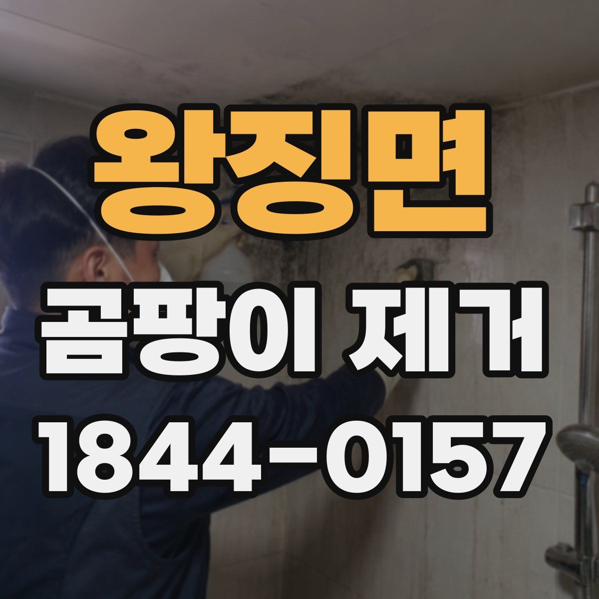 왕징면 곰팡이 제거