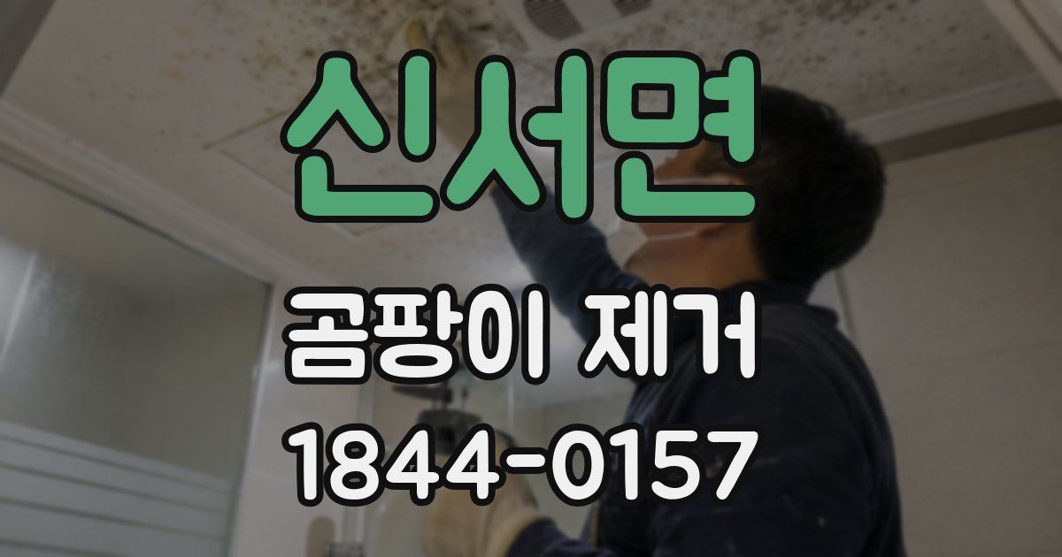신서면 곰팡이 제거