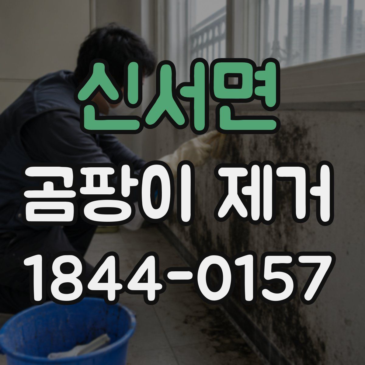신서면 곰팡이 제거