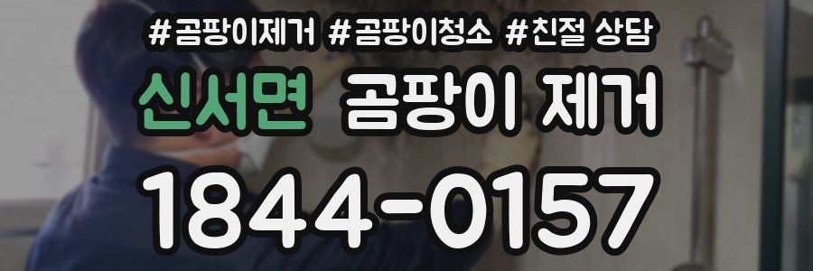 신서면 곰팡이 제거