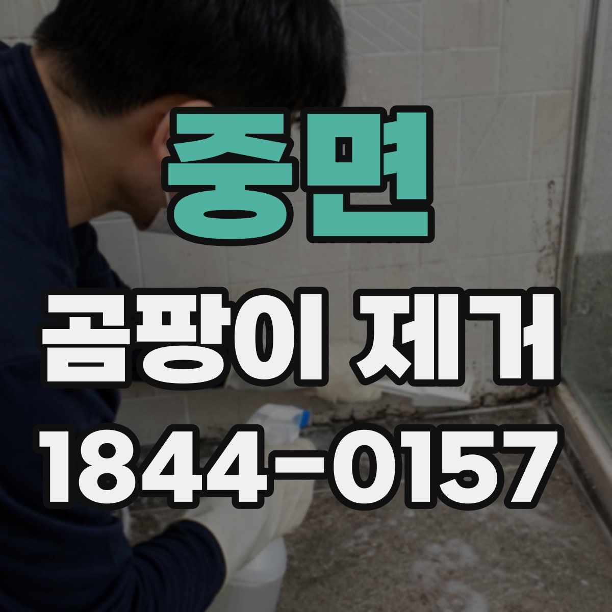 중면 곰팡이 제거