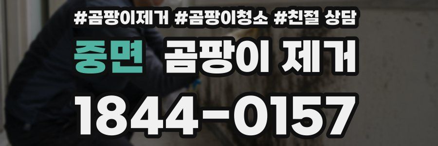 중면 곰팡이 제거