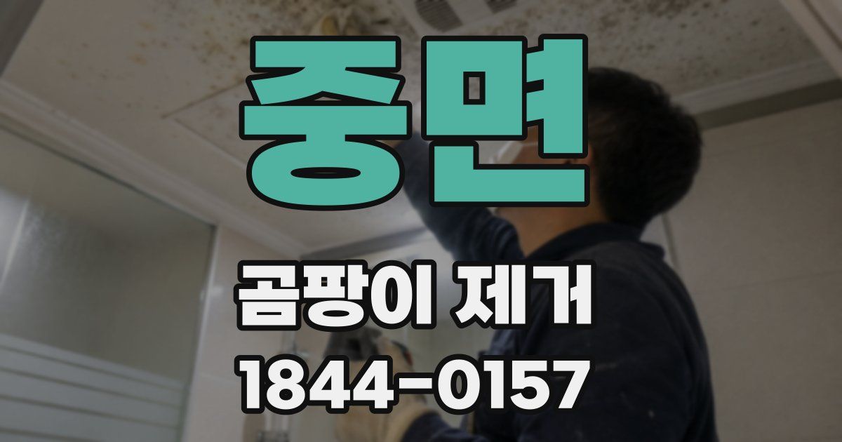 중면 곰팡이 제거