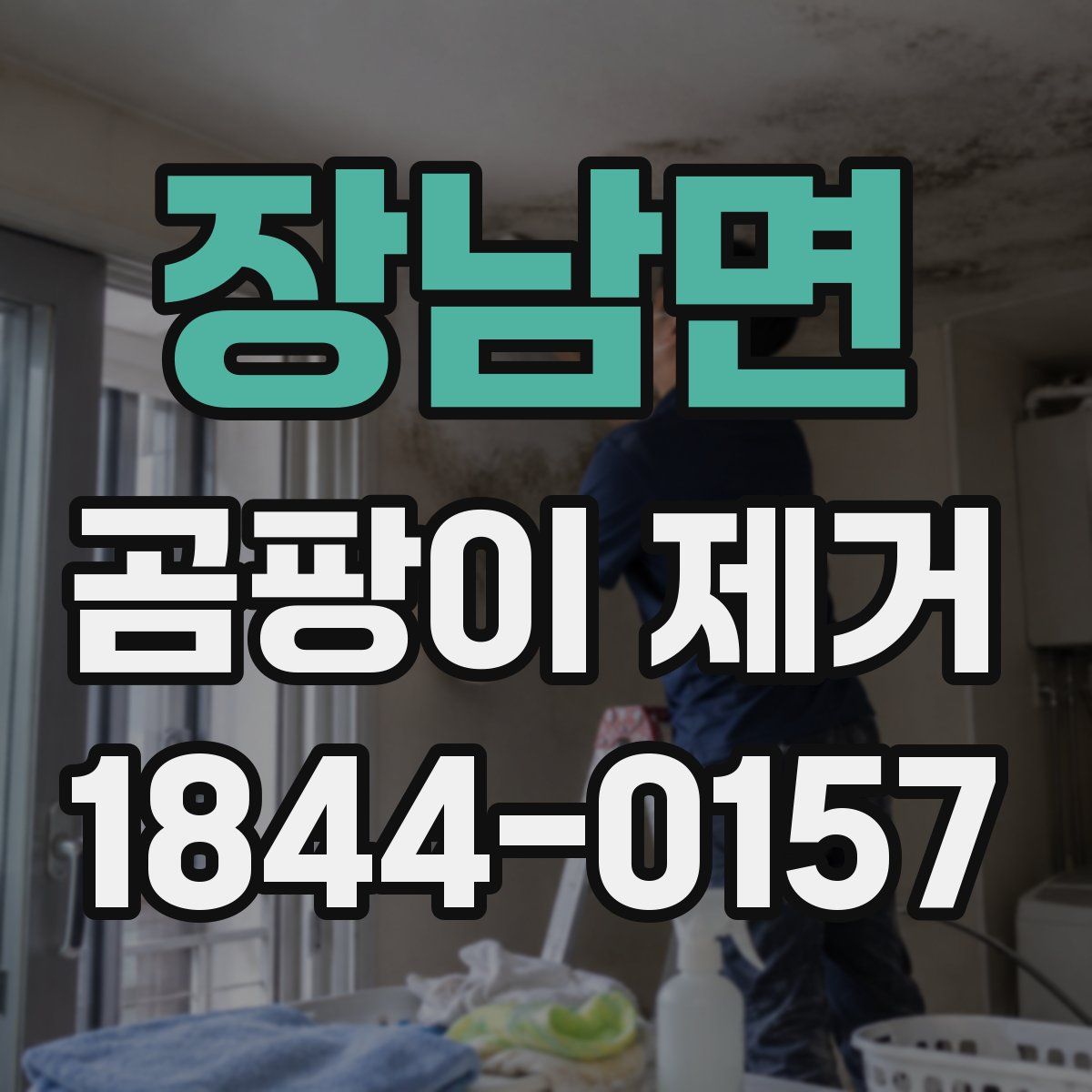 장남면 곰팡이 제거