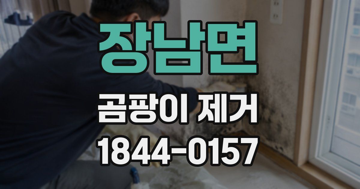 장남면 곰팡이 제거