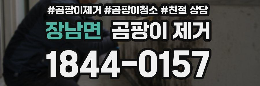 장남면 곰팡이 제거