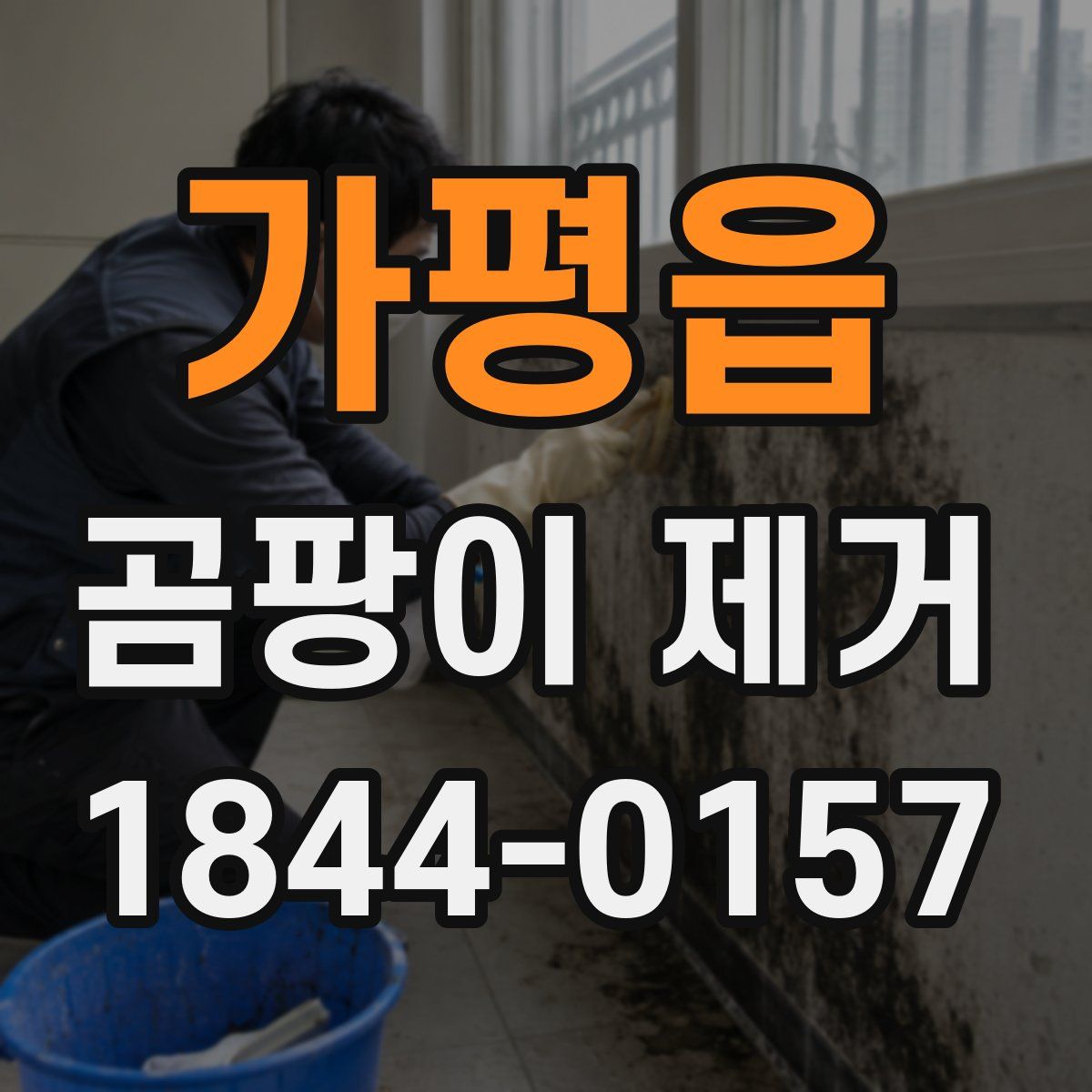 가평읍 곰팡이 제거