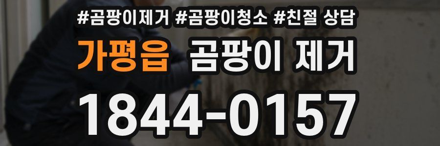 가평읍 곰팡이 제거