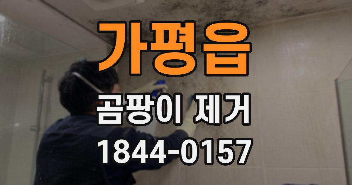 가평읍 곰팡이 제거
