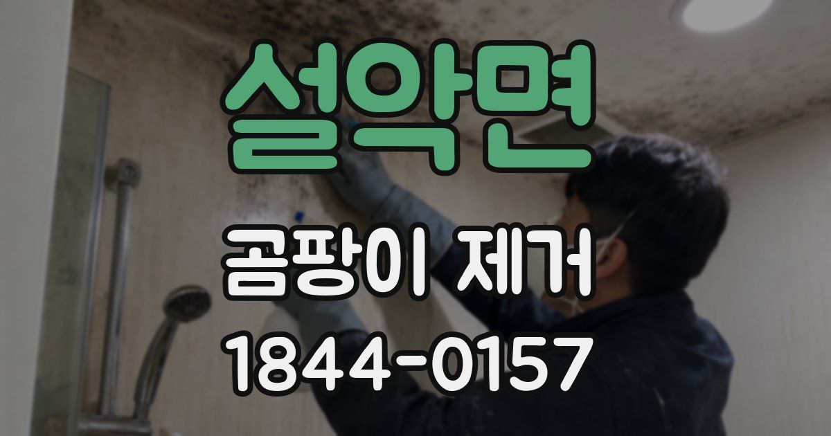 설악면 곰팡이 제거