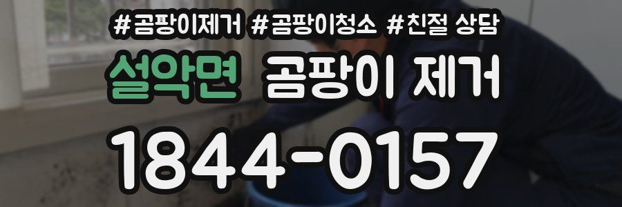 설악면 곰팡이 제거