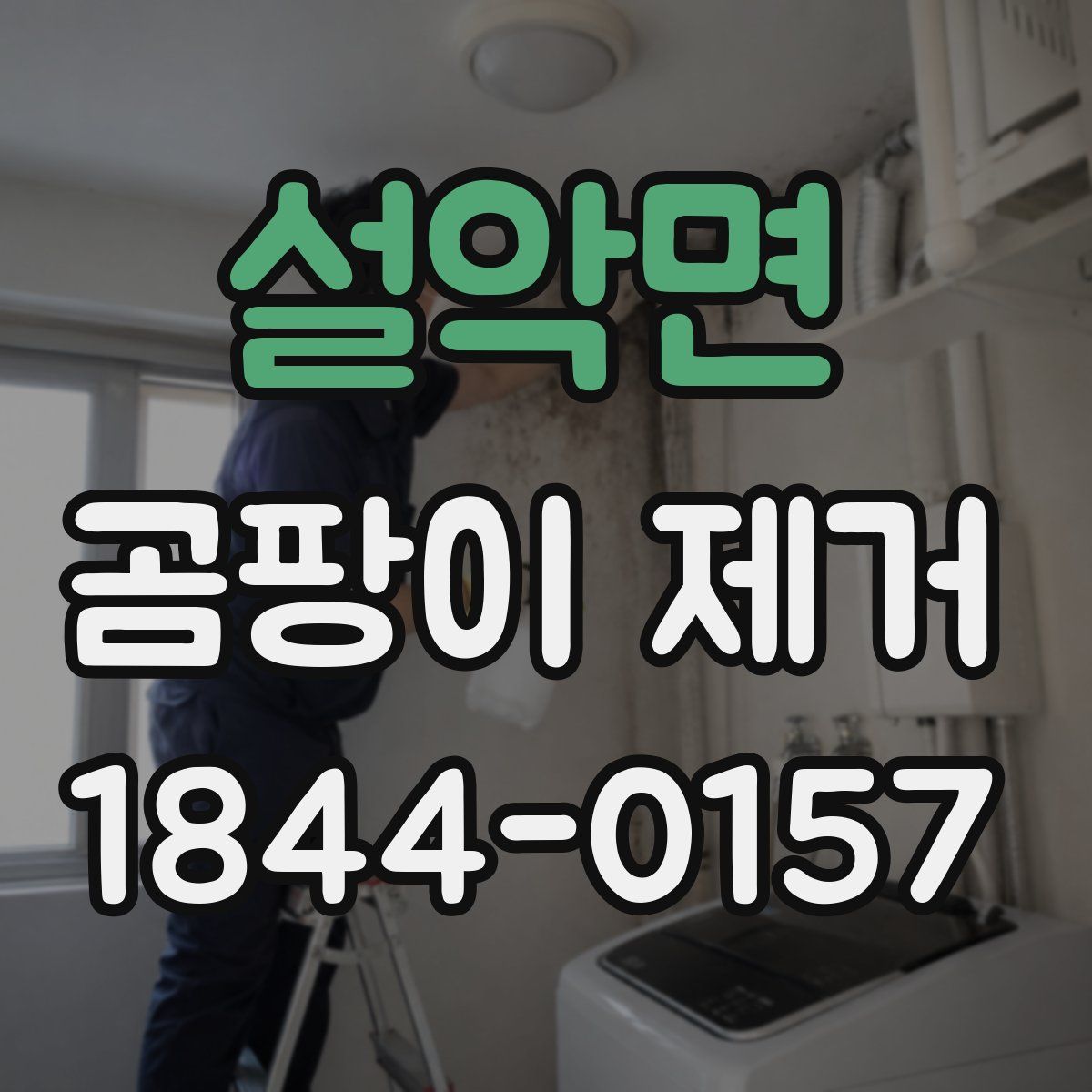 설악면 곰팡이 제거