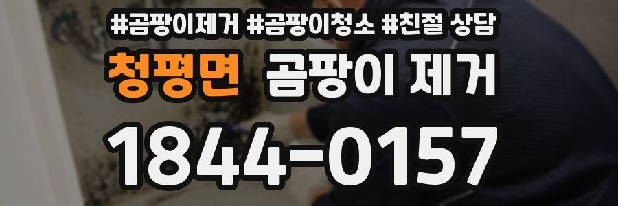 청평면 곰팡이 제거