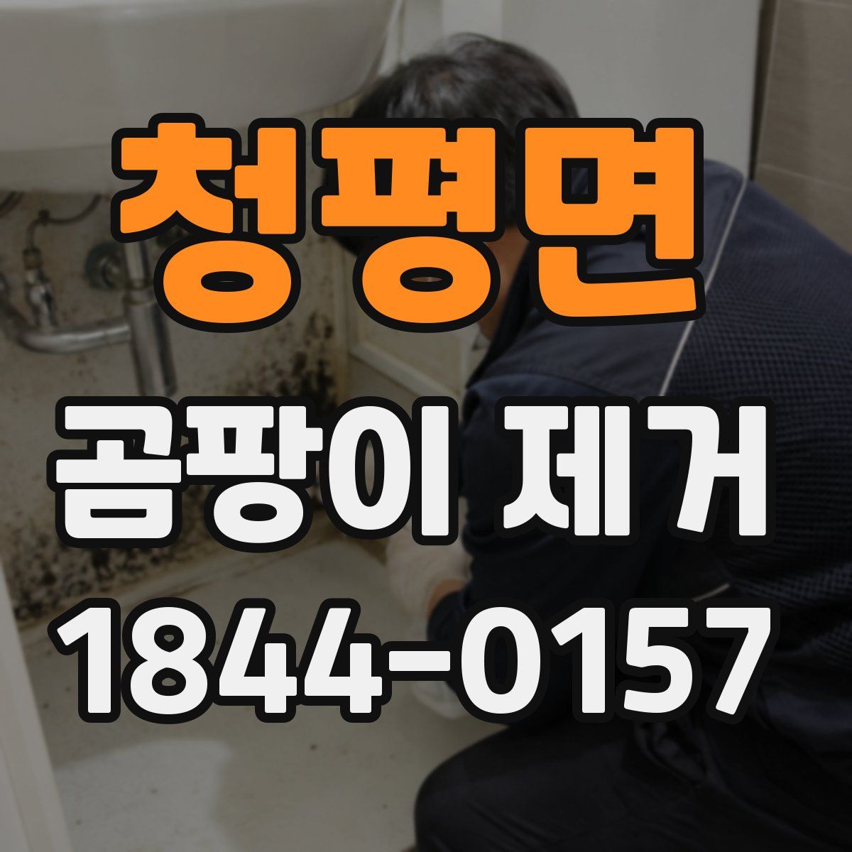 청평면 곰팡이 제거