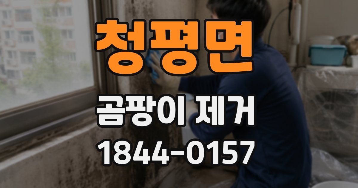청평면 곰팡이 제거