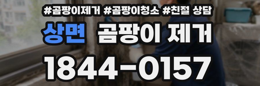 상면 곰팡이 제거