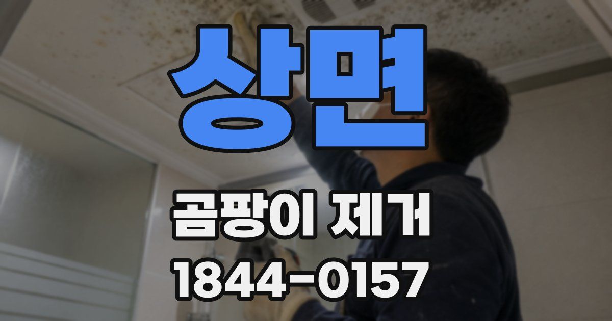 상면 곰팡이 제거