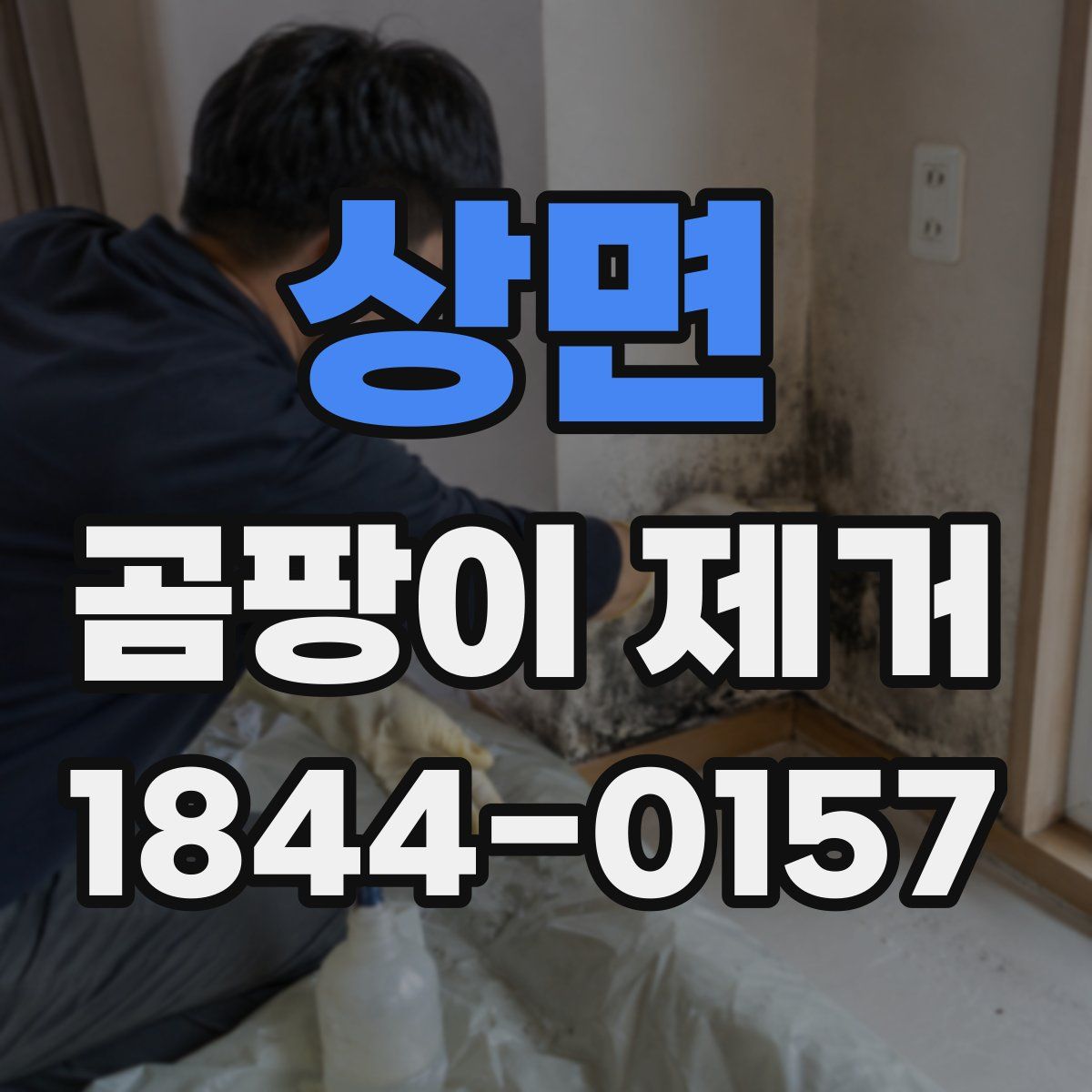 상면 곰팡이 제거