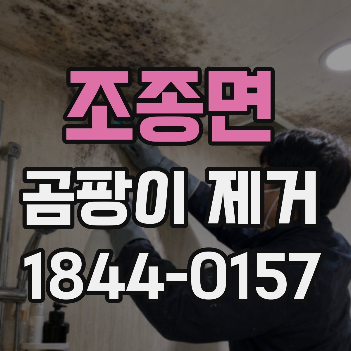 조종면 곰팡이 제거 습한 공간별 관리 요령