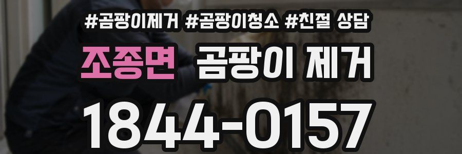 조종면 곰팡이 제거