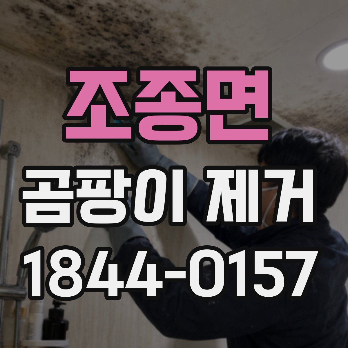 조종면 곰팡이 제거