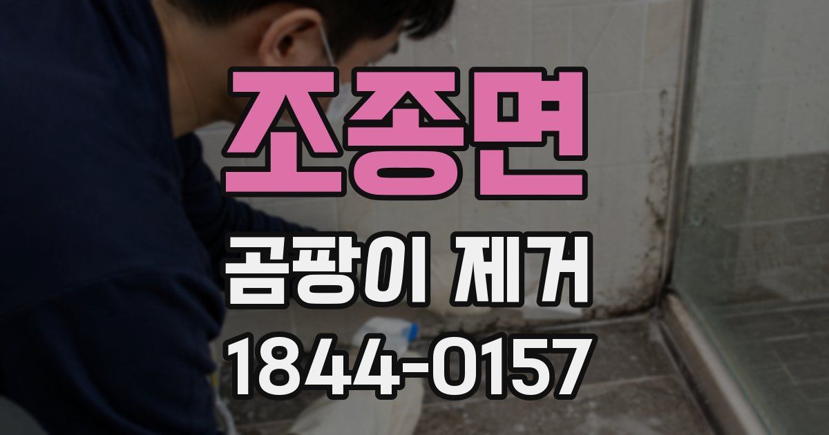 조종면 곰팡이 제거