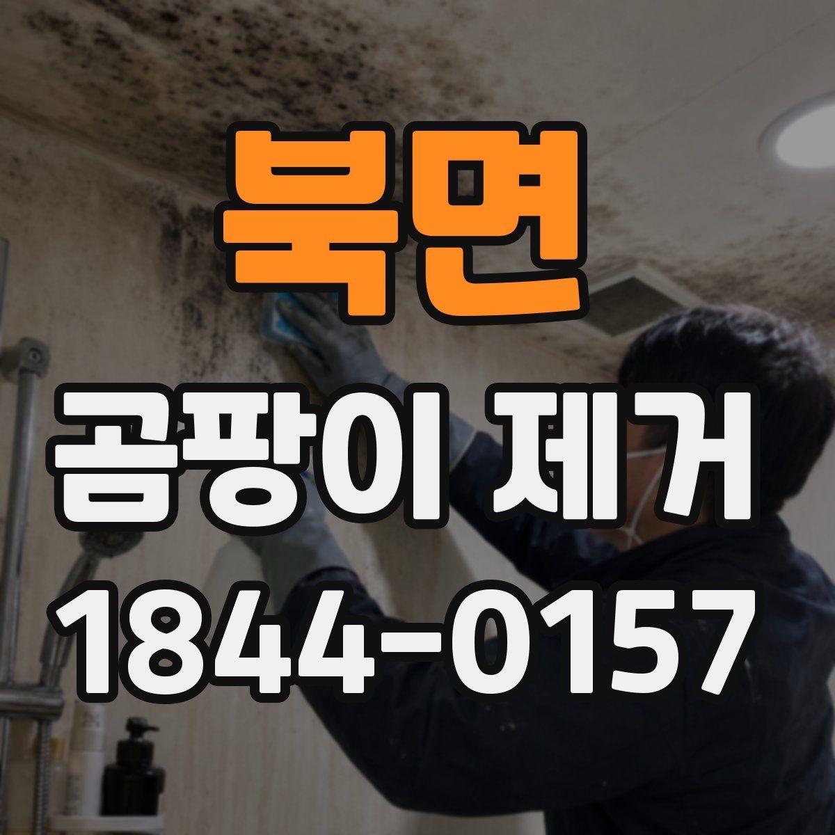 북면 곰팡이 제거 전 냄새와 얼룩을 구분하는 방법