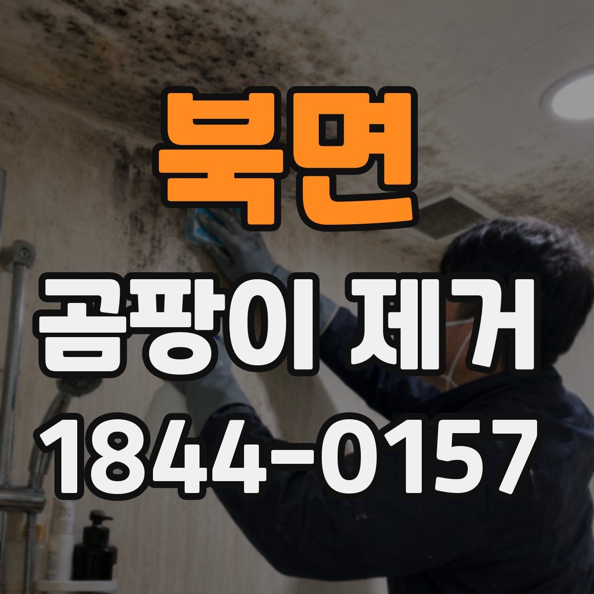 북면 곰팡이 제거