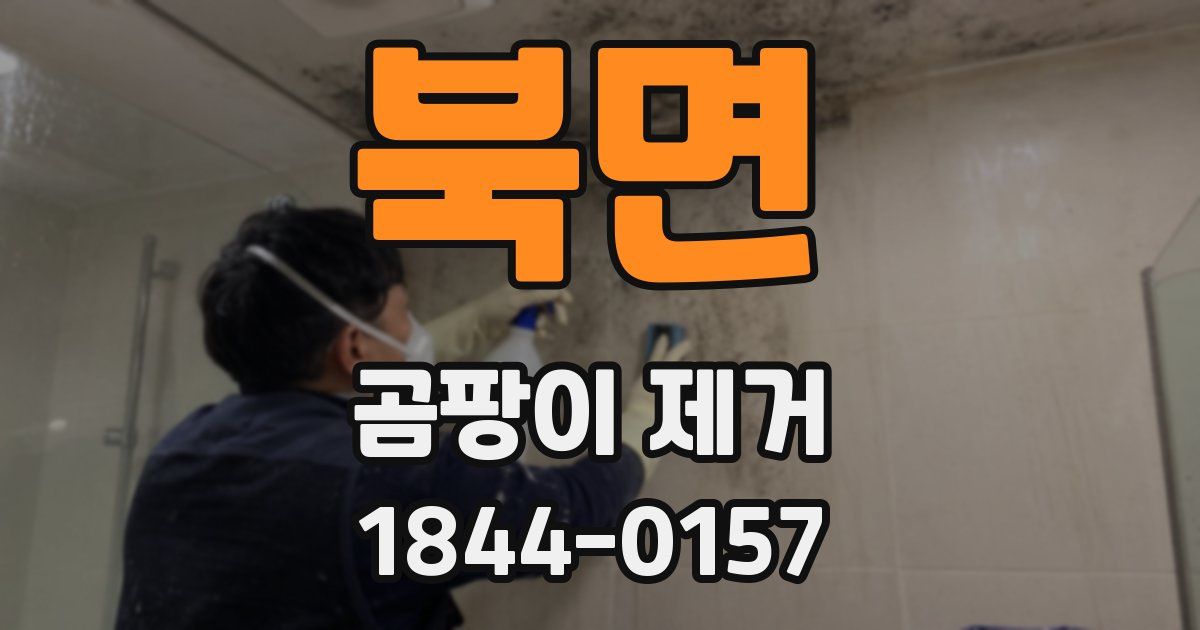 북면 곰팡이 제거