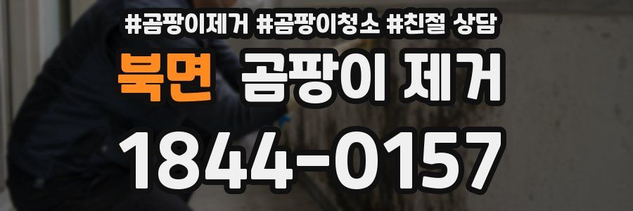 북면 곰팡이 제거
