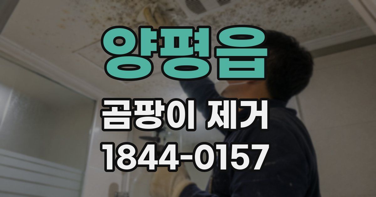양평읍 곰팡이 제거