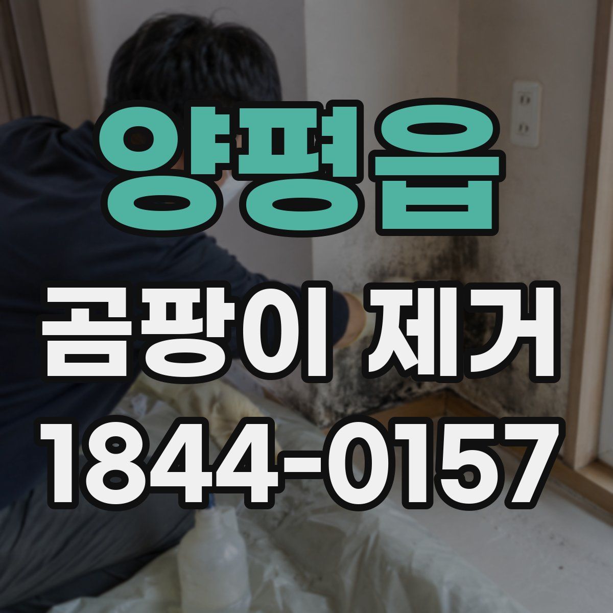 양평읍 곰팡이 제거
