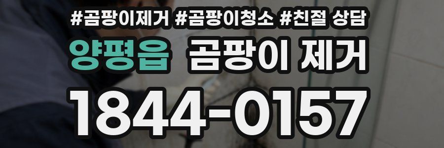 양평읍 곰팡이 제거