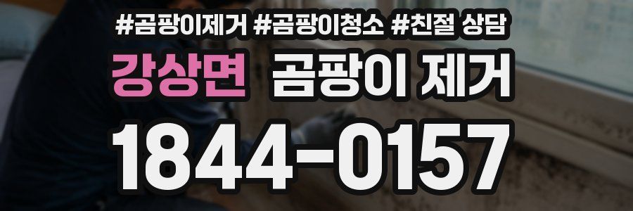 강상면 곰팡이 제거