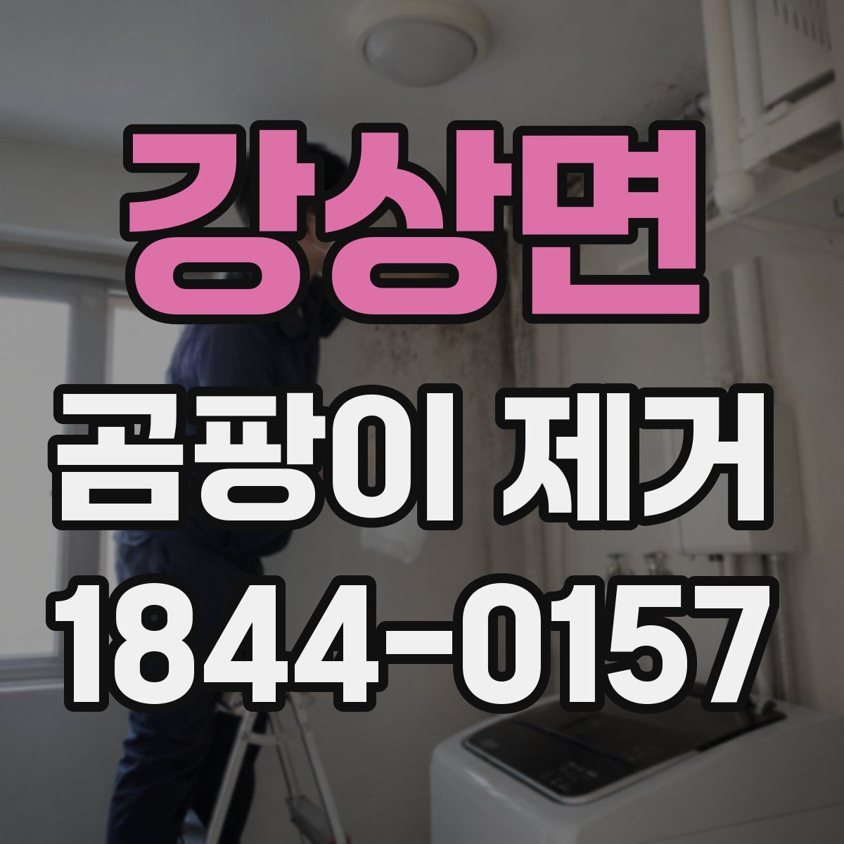 강상면 곰팡이 제거