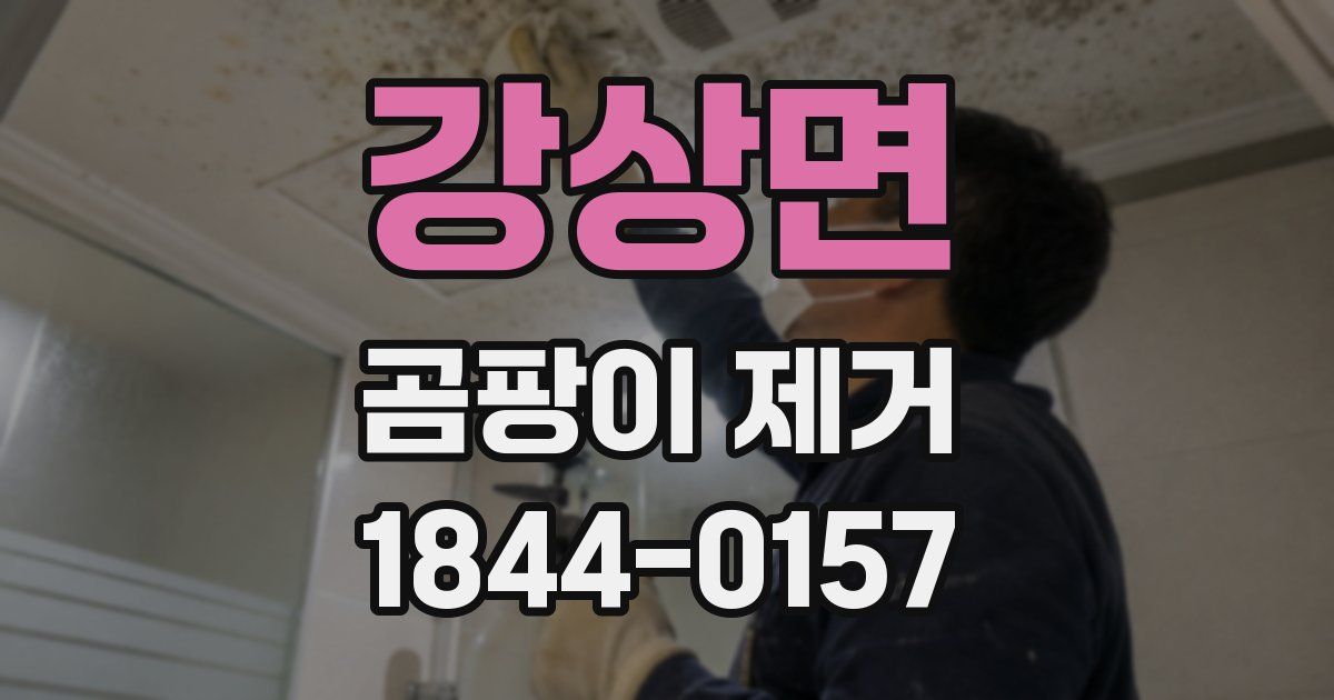 강상면 곰팡이 제거