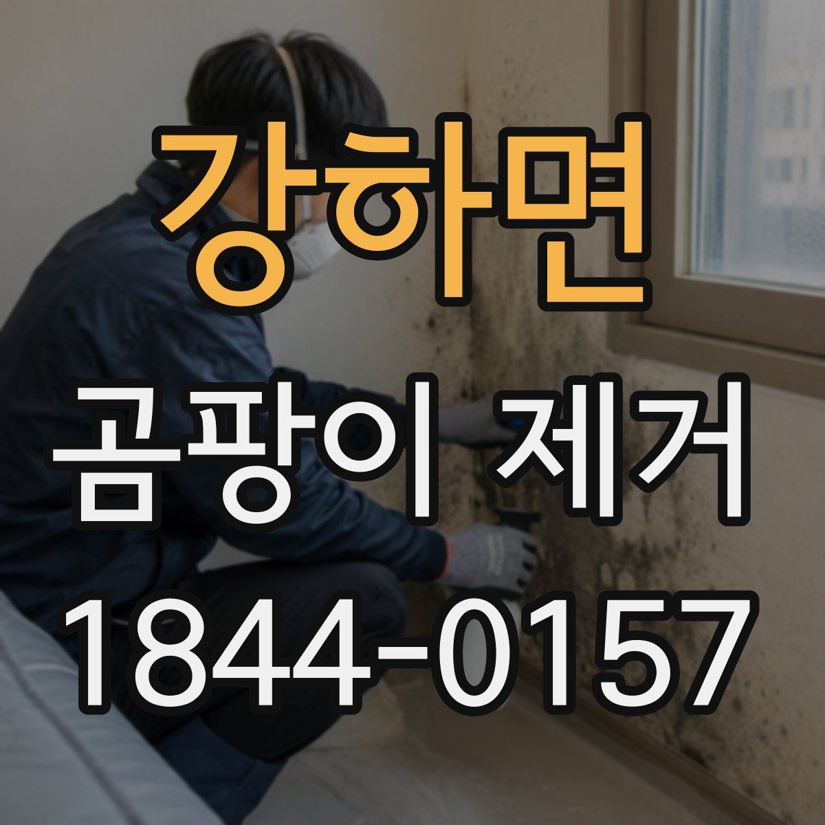 강하면 곰팡이 제거