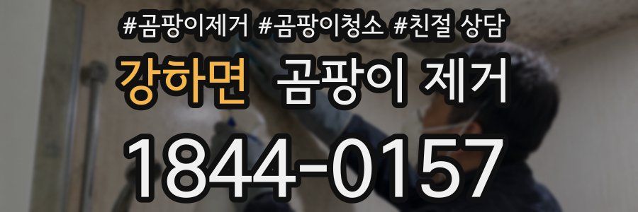 강하면 곰팡이 제거