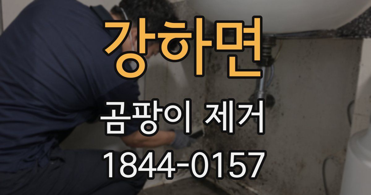 강하면 곰팡이 제거