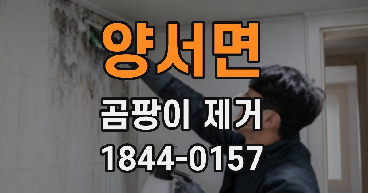 양서면 곰팡이 제거